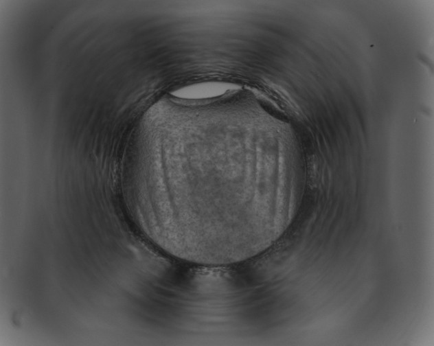 X0000091360077200709071313