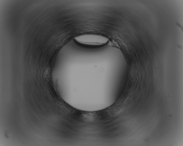 X0000091360079200709071313