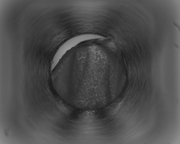 X0000091360080200709071313