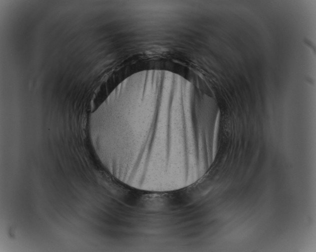 X0000091360082200709071313