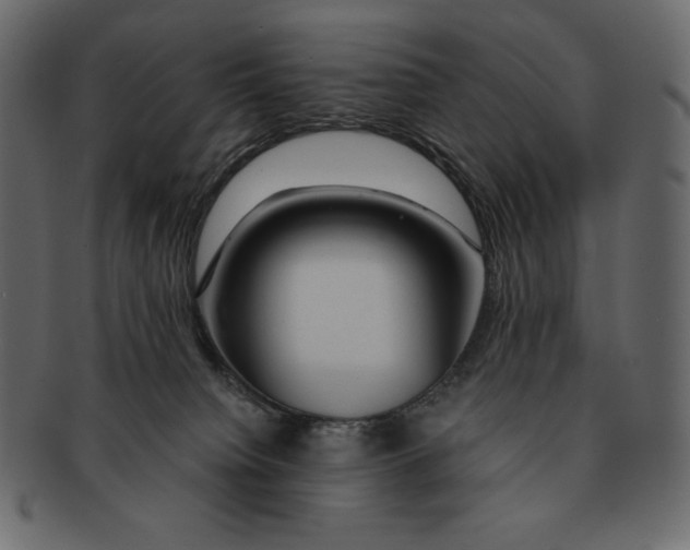 X0000091360084200709071313