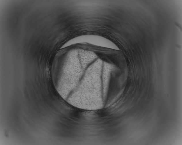 X0000091360086200709071313