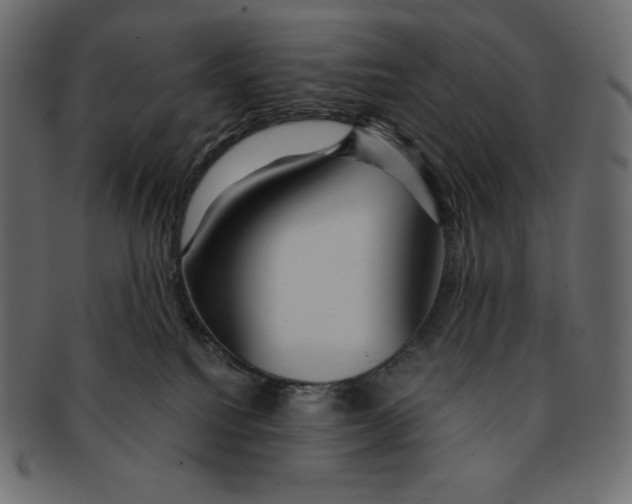 X0000091360088200709071313