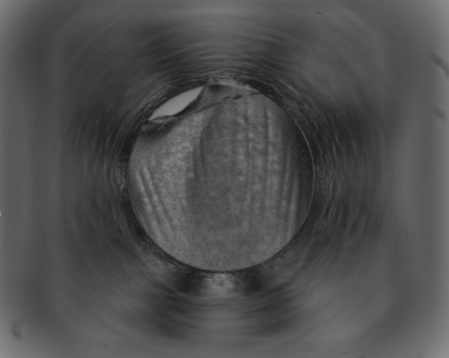 X0000091360091200709071313