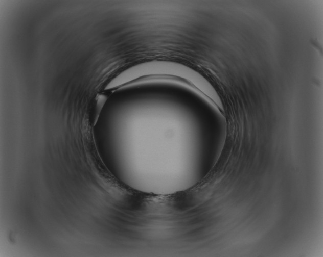 X0000091360092200709071313