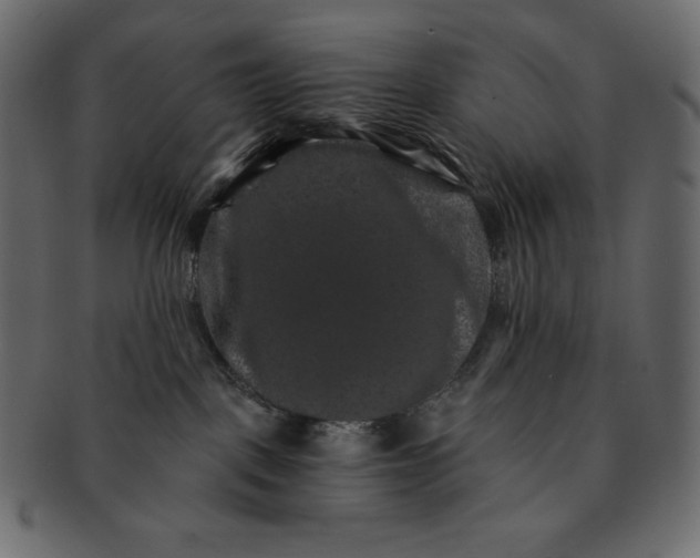 X0000091360093200709071313