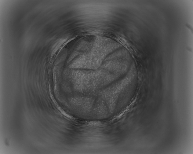 X0000091360097200709071312