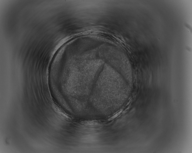 X0000091360100200709071312