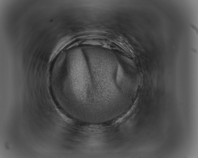 X0000091360101200709071312