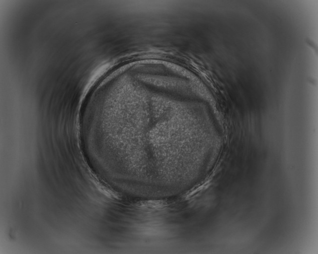 X0000091360102200709071312