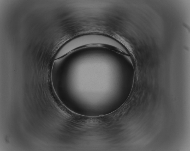 X0000091360105200709071312