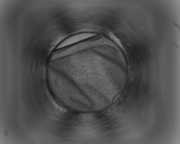 X0000091360106200709071312