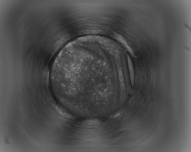 X0000091360110200709071312