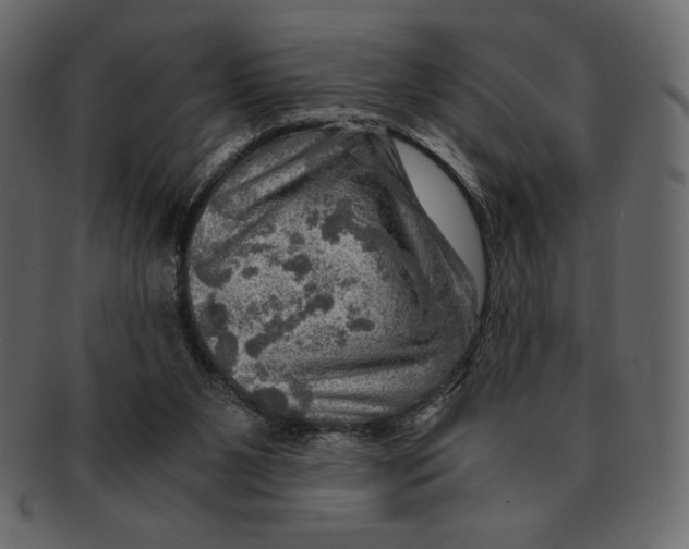 X0000091360111200709071312