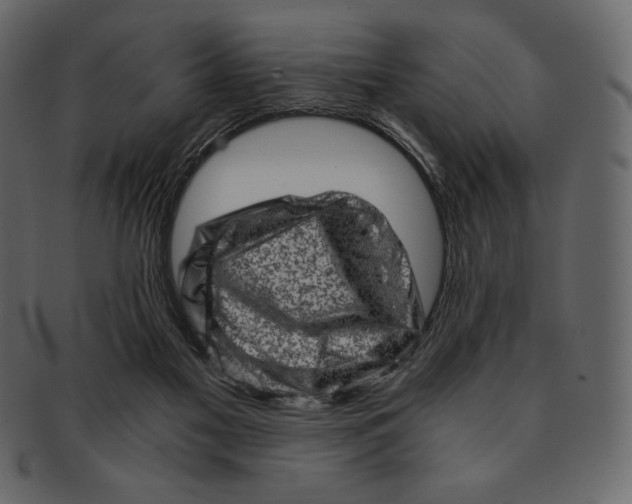 X0000091360117200709071312