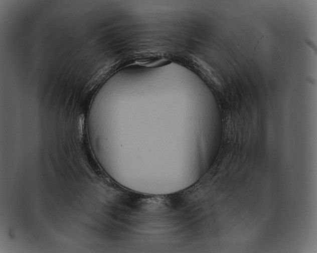 X0000091360118200709071312