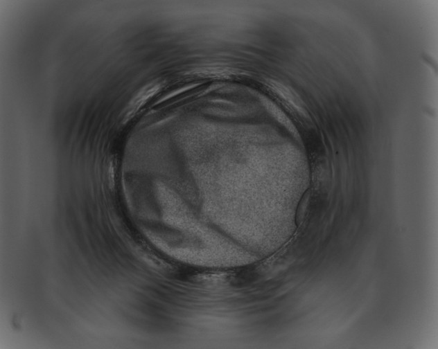 X0000091360120200709071312