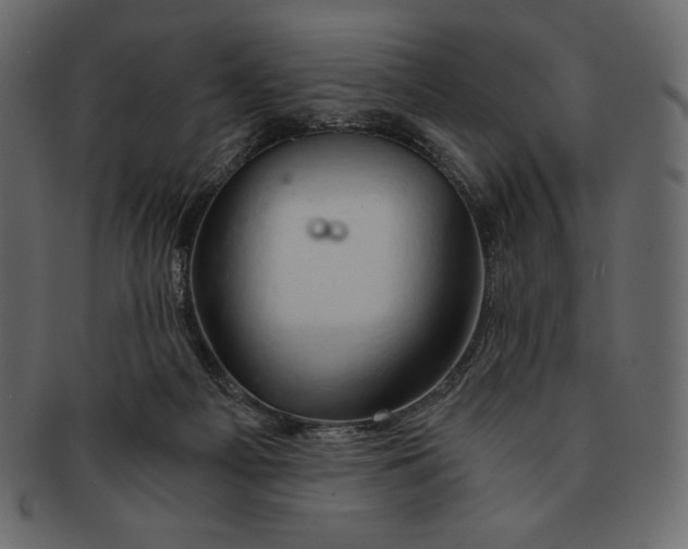 X0000091360121200709071312