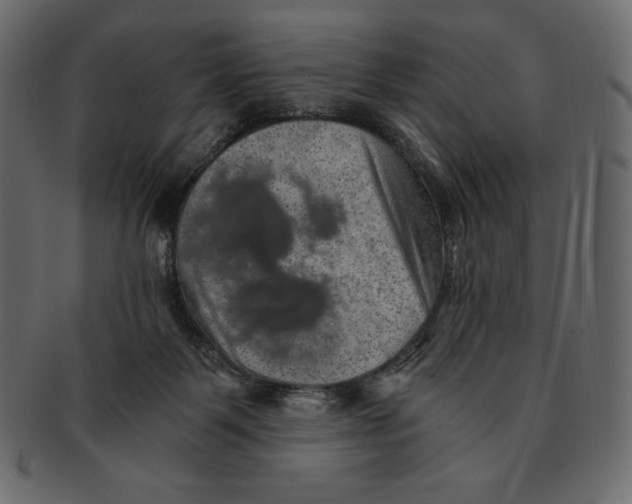 X0000091360123200709071312