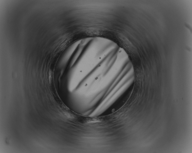 X0000091360125200709071312