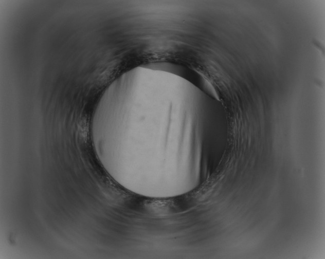 X0000091360129200709071312