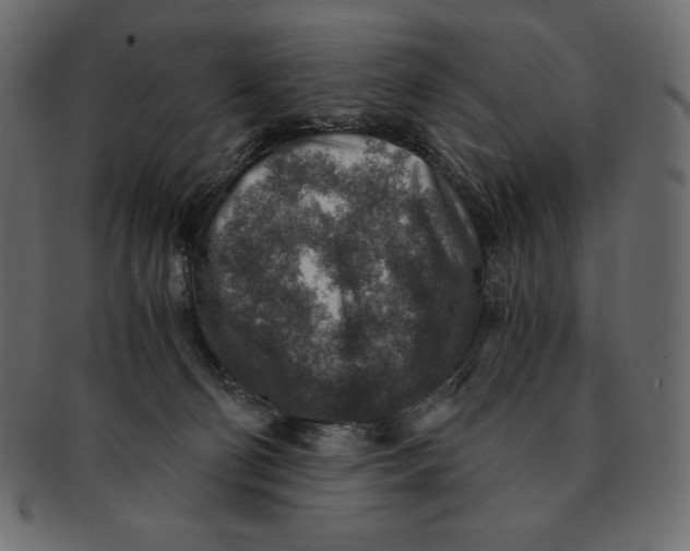 X0000091360130200709071312