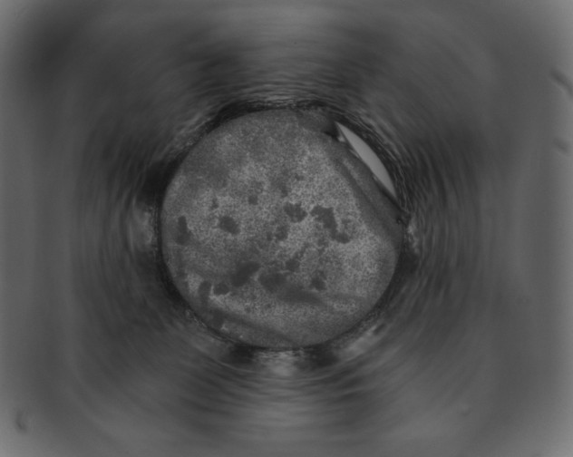 X0000091360131200709071312