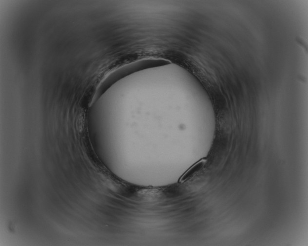 X0000091360133200709071312