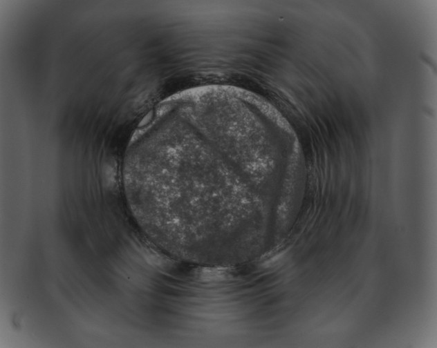 X0000091360134200709071312