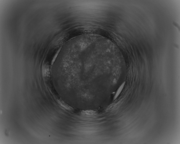 X0000091360137200709071312