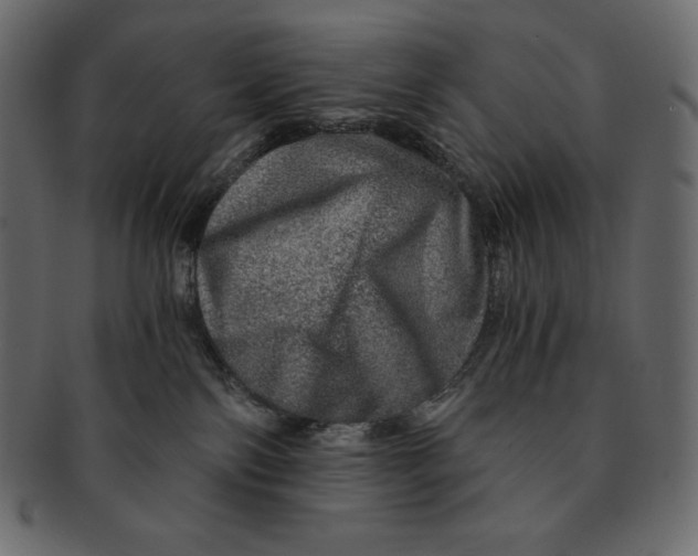 X0000091360138200709071312