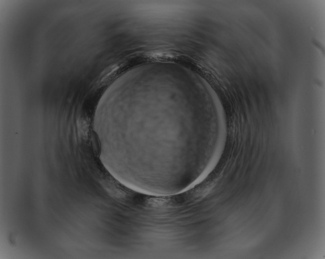 X0000091360139200709071312