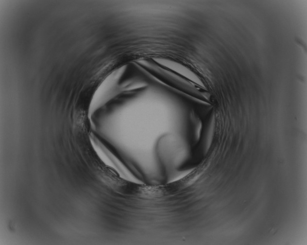 X0000091360141200709071312