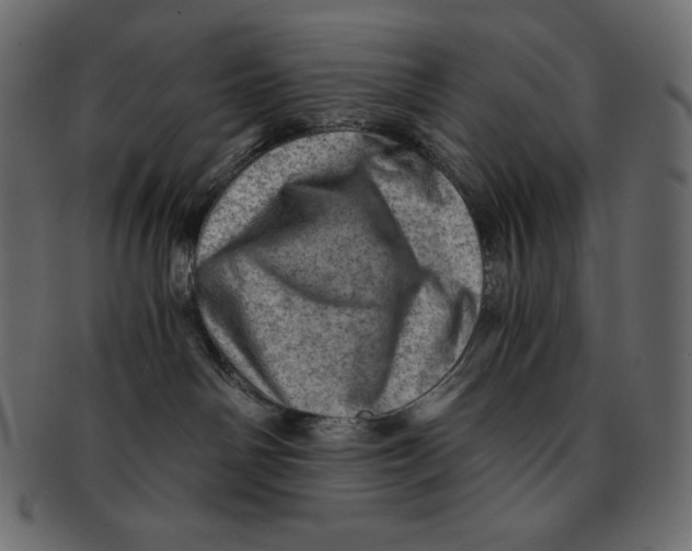 X0000091360142200709071312