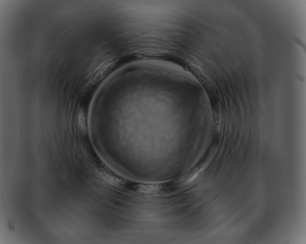 X0000091360143200709071312