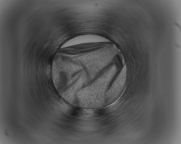 X0000091360144200709071312