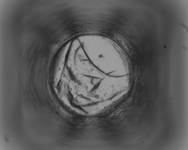 X0000091360145200709071311