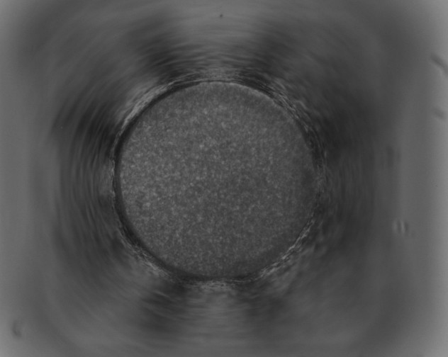 X0000091360146200709071311