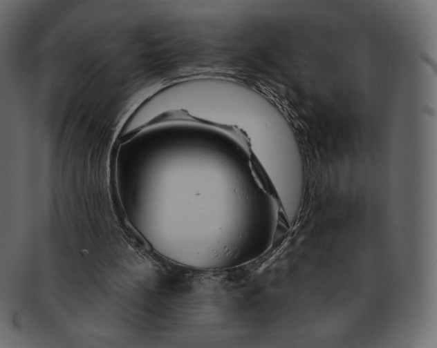 X0000091360148200709071311