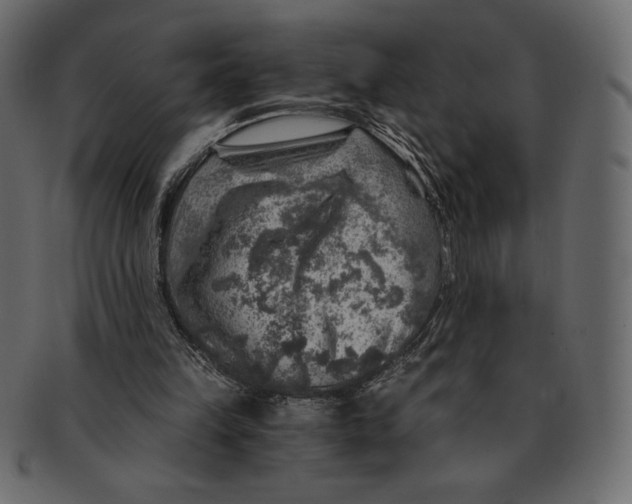 X0000091360149200709071311