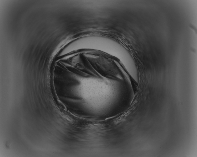 X0000091360150200709071311