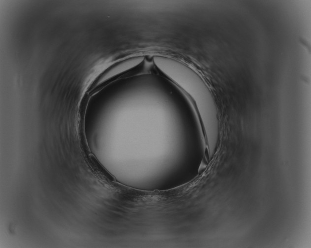 X0000091360152200709071311