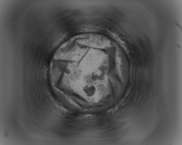 X0000091360153200709071311