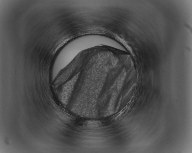 X0000091360154200709071311