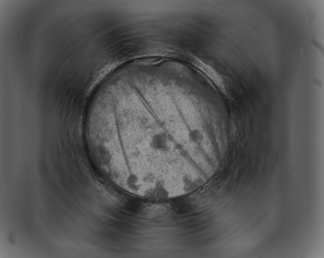 X0000091360155200709071311