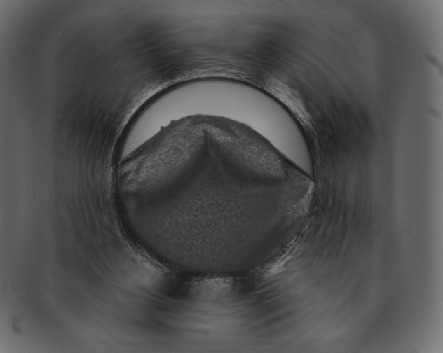 X0000091360156200709071311