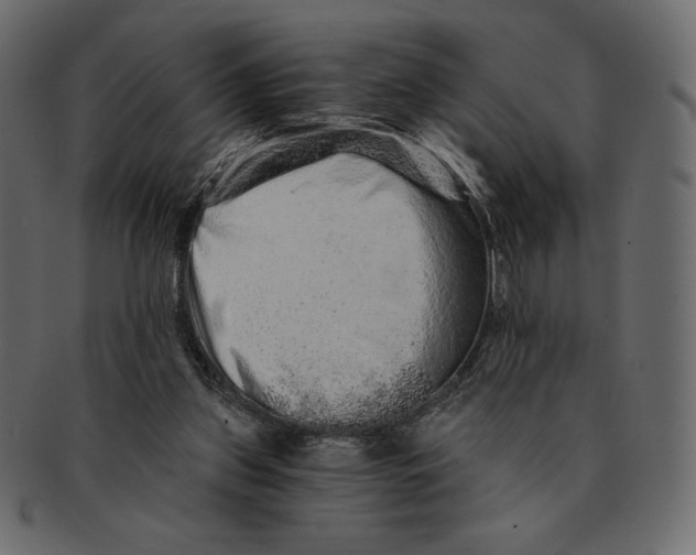 X0000091360157200709071311