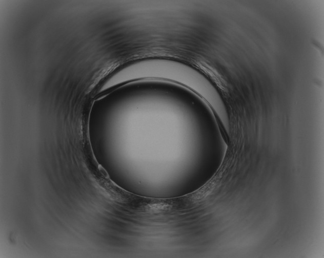 X0000091360158200709071311