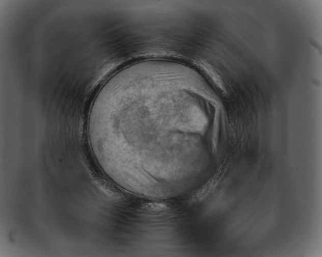 X0000091360159200709071311