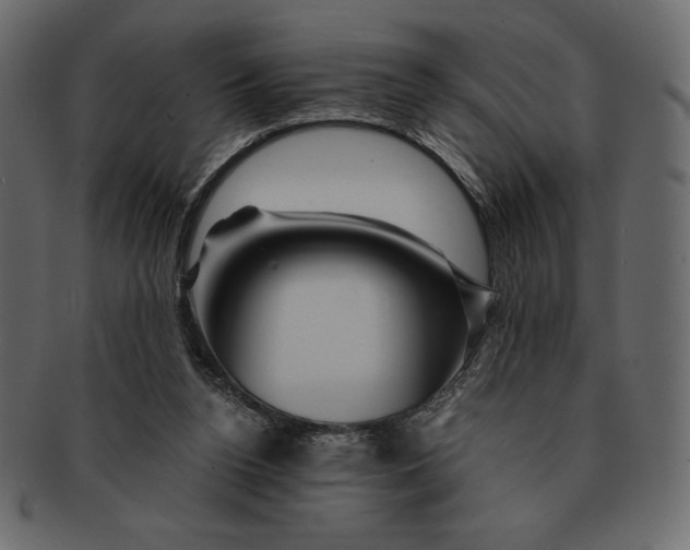 X0000091360160200709071311